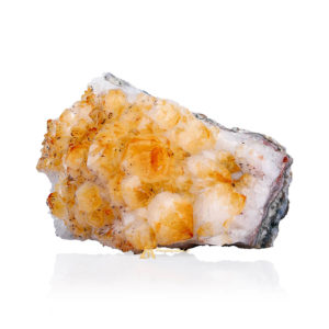 Hv0023 C