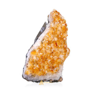 Hv0025 B