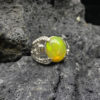Nopl 0330 01 A