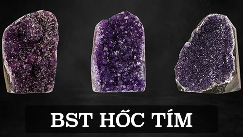 Bst Hốc Tím