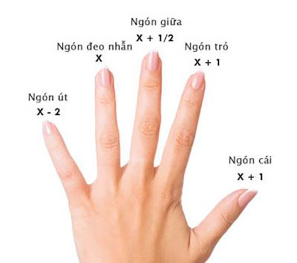 Cách đo Ni Nhẫn - How to find your Ring Size 12