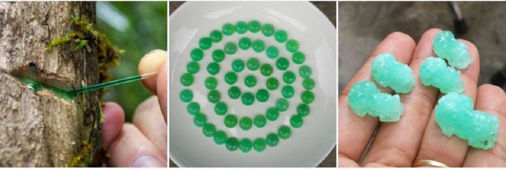 25 CÂU HỎI VỀ CHRYSOPRASE Ngọc Đế Quang
