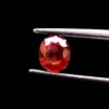 Mặt Nhẫn - Garnet Đỏ Lục Yên #MGN-230509-03 2