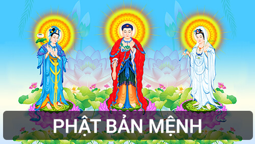 Trang Chủ 40