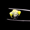 Mặt Rồng - Đá Sapphire Tự Nhiên #MSP-240202-02 1